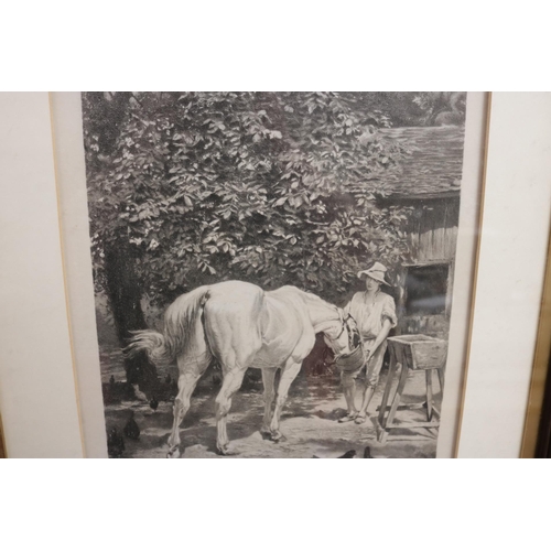 313 - Engraving of a Lady Feeding A Horse - 1866 - entitled 