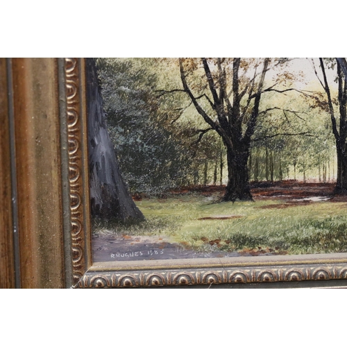 337 - A collection of Robert Hughes Miniature pictures, Old Burghclere Church 1983, Hungerford Footpath 19... 