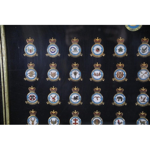 410 - A lovely framed group of Framed Royal Air Force Cap Badges RAF in excellent condition, 53 in total, ... 