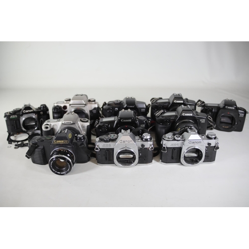 24 - 11 Canon Cameras: AE-1, AE-1 Program, Canon EOS 650, Canon T50, Canon EOS 1000f, Canon EOS 5000, Can... 