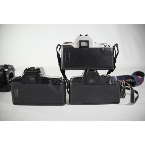 24 - 11 Canon Cameras: AE-1, AE-1 Program, Canon EOS 650, Canon T50, Canon EOS 1000f, Canon EOS 5000, Can... 