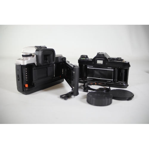 24 - 11 Canon Cameras: AE-1, AE-1 Program, Canon EOS 650, Canon T50, Canon EOS 1000f, Canon EOS 5000, Can... 