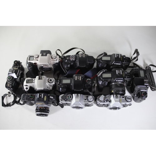 24 - 11 Canon Cameras: AE-1, AE-1 Program, Canon EOS 650, Canon T50, Canon EOS 1000f, Canon EOS 5000, Can... 