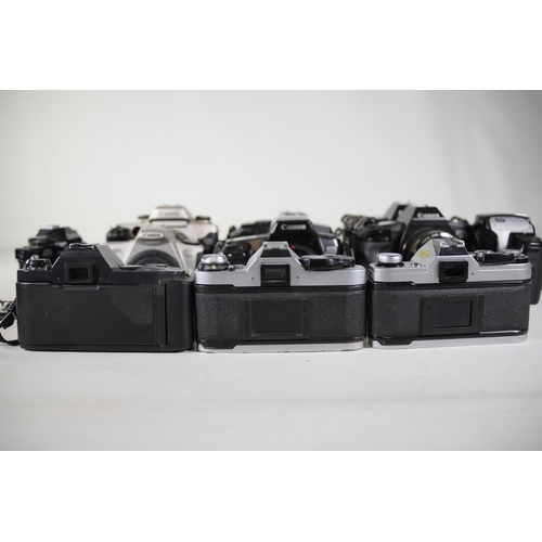 24 - 11 Canon Cameras: AE-1, AE-1 Program, Canon EOS 650, Canon T50, Canon EOS 1000f, Canon EOS 5000, Can... 