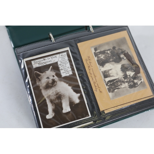 Green postcard album with collection of vintage postcardsA green vinyl ...