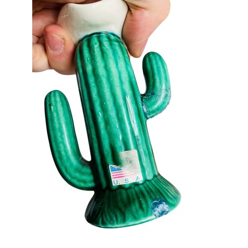 119 - Pilgrims and cacti and misc others