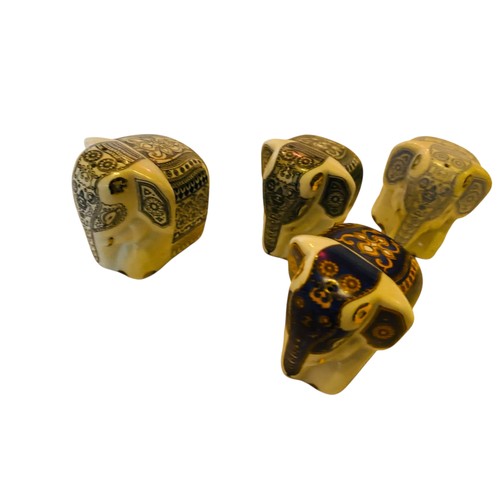 171 - Elephants marked MLESNA
