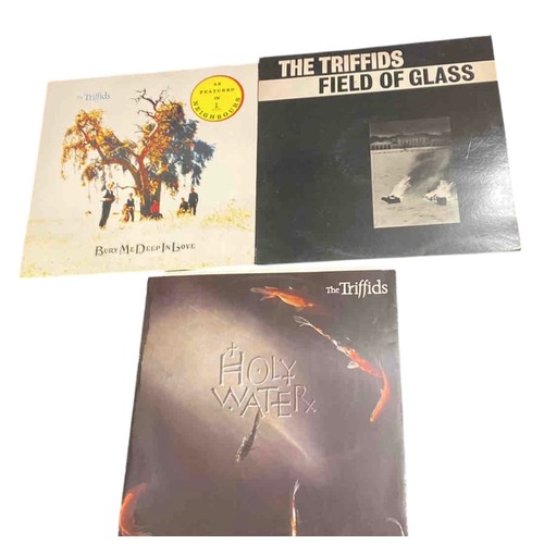 58 - Set of 3 vinyl records by Australian band The Triffids: Holy Water, Bury Me Deep In Love and Field o... 
