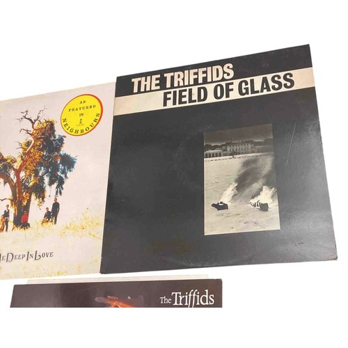58 - Set of 3 vinyl records by Australian band The Triffids: Holy Water, Bury Me Deep In Love and Field o... 