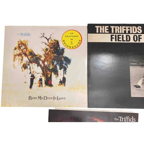 58 - Set of 3 vinyl records by Australian band The Triffids: Holy Water, Bury Me Deep In Love and Field o... 