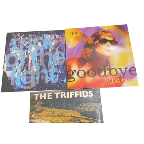 59 - Set of 3 Triffids vinyl records: Born Sandy Devotional LP, Trick of the Light 12-inch single, and Go... 