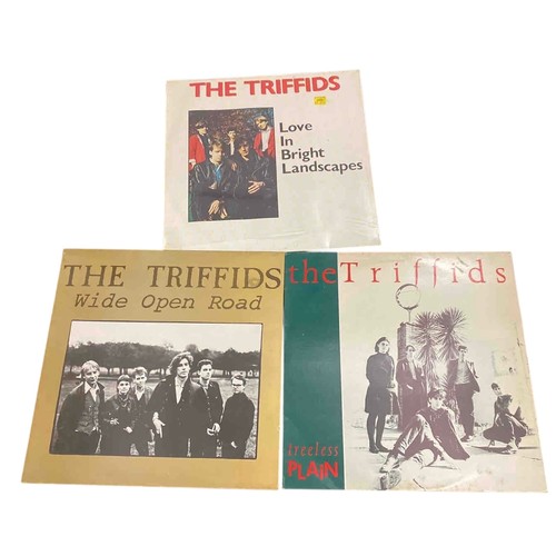 60 - Set of 3 vinyl records by The Triffids: Wide Open Road, Treeless Plain, and Love in Bright Landscape... 
