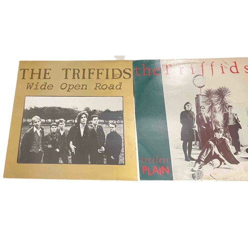 60 - Set of 3 vinyl records by The Triffids: Wide Open Road, Treeless Plain, and Love in Bright Landscape... 