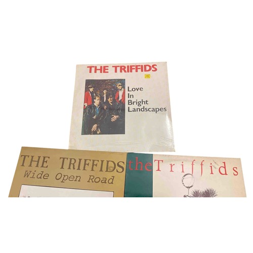 60 - Set of 3 vinyl records by The Triffids: Wide Open Road, Treeless Plain, and Love in Bright Landscape... 
