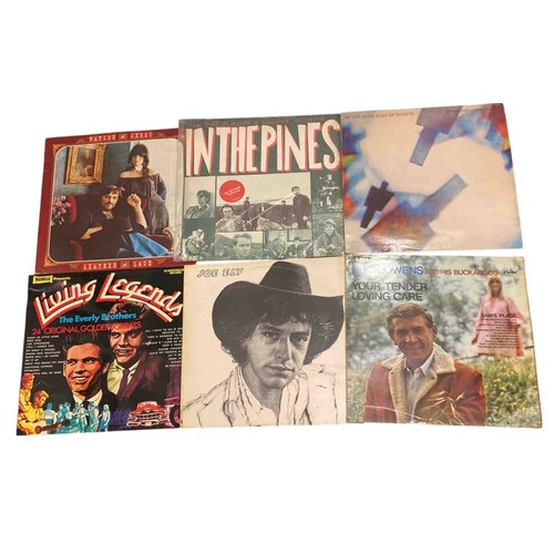 Lot 71        