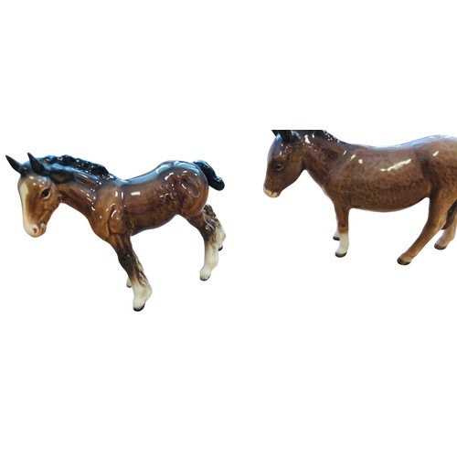 Lot 43        