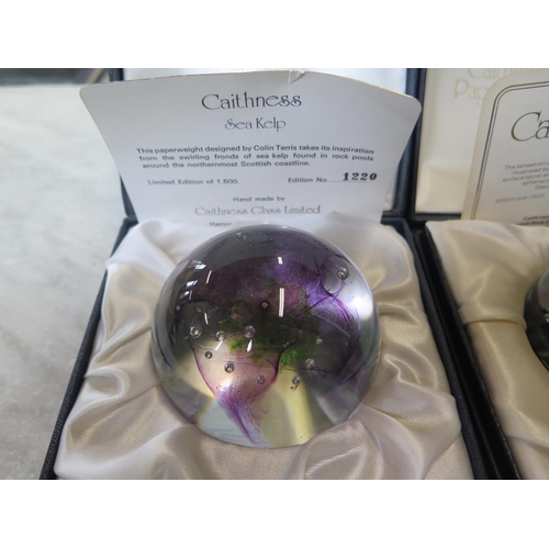 1243 - Three boxed Caithness Special Edition paperweights including Star Beacon Ed no 227, Sea Kelp Ed no 1... 