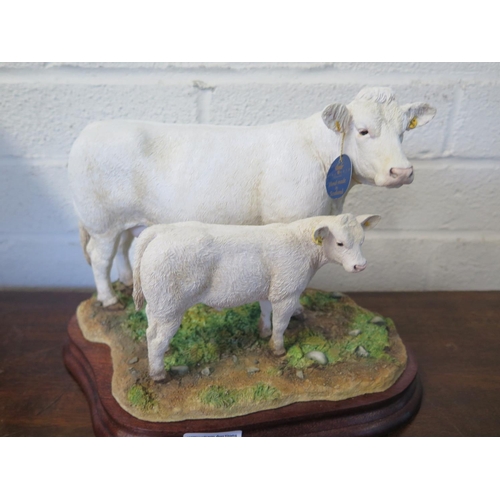 1262 - A Border Fine Arts Limited Edition figure of a Charolais Cow and Calf No 136 of 500 modeled by Kirst... 