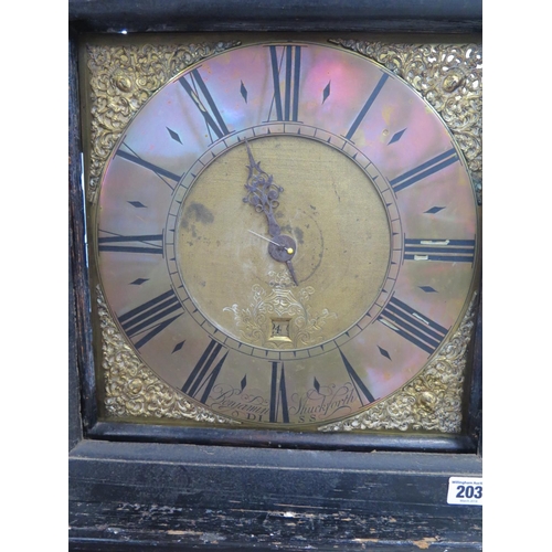 203 - A 30 hour longcase clock with 12