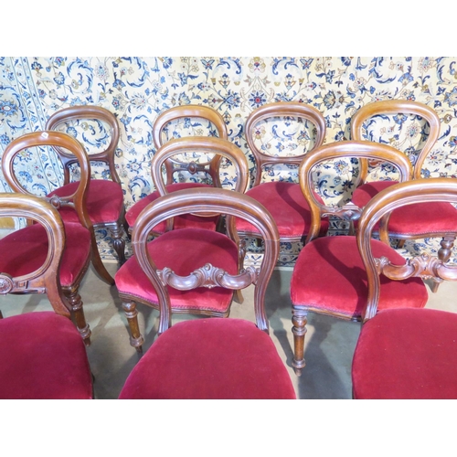 288 - Ten 19th century mahogany dining chairs all covered in the same maroon fabric