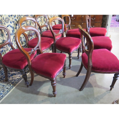 288 - Ten 19th century mahogany dining chairs all covered in the same maroon fabric