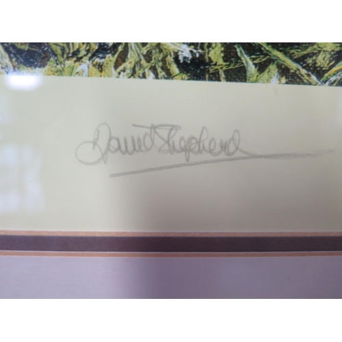 466 - David Shepherd Limited Edition print no 1266 of 2000 Jungle Gentleman signed in pencil to the margin... 