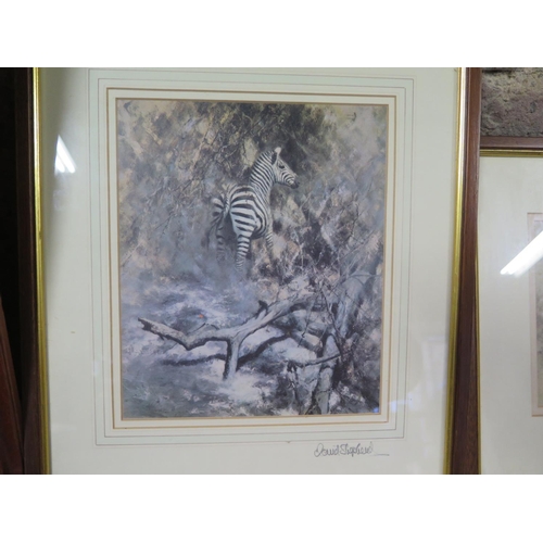 466 - David Shepherd Limited Edition print no 1266 of 2000 Jungle Gentleman signed in pencil to the margin... 