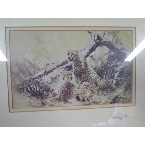 466 - David Shepherd Limited Edition print no 1266 of 2000 Jungle Gentleman signed in pencil to the margin... 