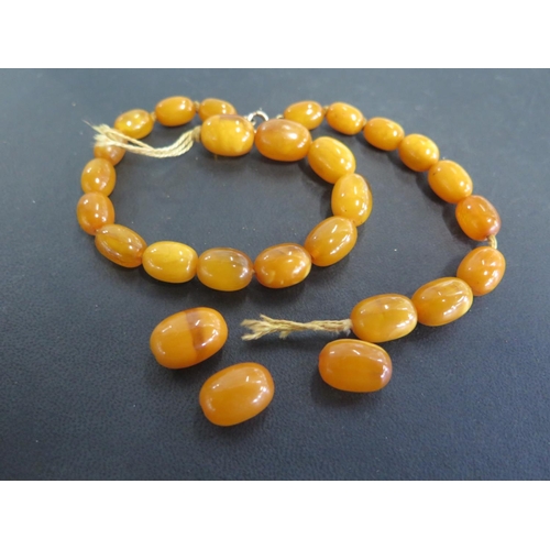 829 - A quantity of amber beads, twenty four strung, graduated in size and three loose, the largest 18mm x... 