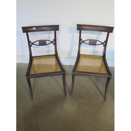 243 - A pair of Regency mahogany sabre leg chairs with re-caned seats