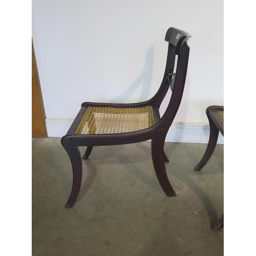 243 - A pair of Regency mahogany sabre leg chairs with re-caned seats