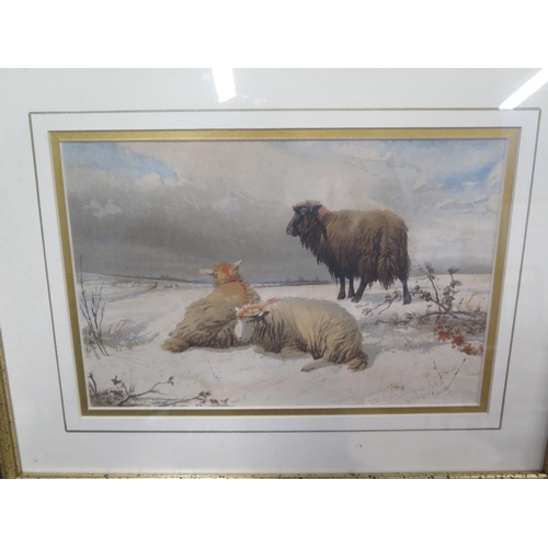 518 - A lithograph of sheep from a Cooper painting, frame size 43cm x 52cm - and a print on canvas of a He... 