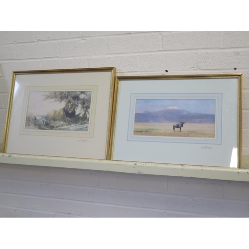 520 - Two David Shepherd wildlife prints, of a lion and another of a wildebeest - both signed in pencil an... 