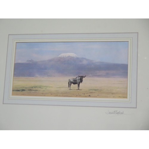 520 - Two David Shepherd wildlife prints, of a lion and another of a wildebeest - both signed in pencil an... 