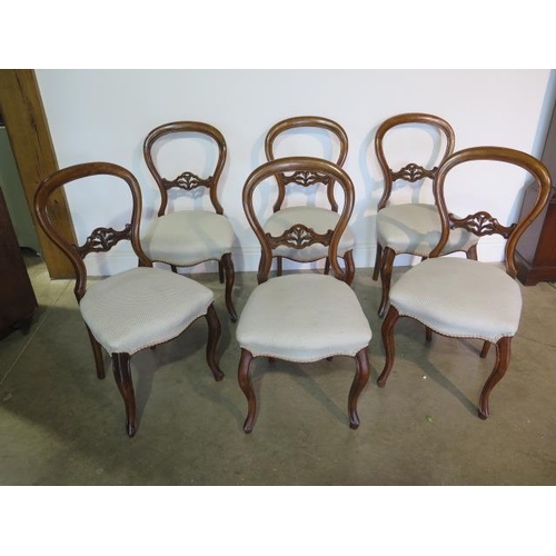 62 - A set of six Victorian balloon back dining chairs in sound condition, recently recovered
