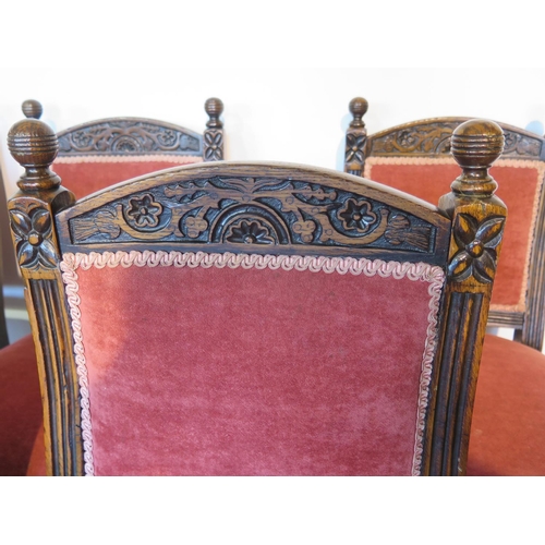 125 - An early 20th century set of five oak and upholstered dining chairs with foliate carved crest and fr... 