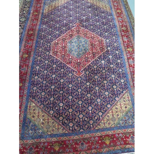 Lot 258       