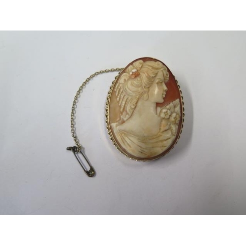 774 - A large hallmarked 9ct Cameo, 6cm x 4.6cm, approx 17.8 grams, in generally good condition with a rep... 