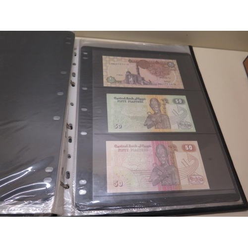 1004 - A large collection of World banknotes in two albums and some loose