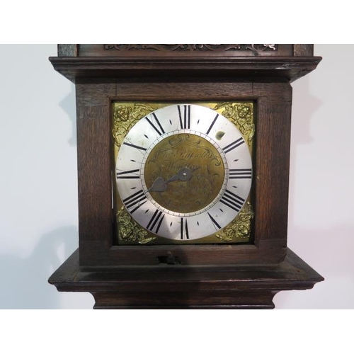 217 - An oak carved 30 hour single hand longcase clock, the dial signed Wm Russell Wootton, with a 8