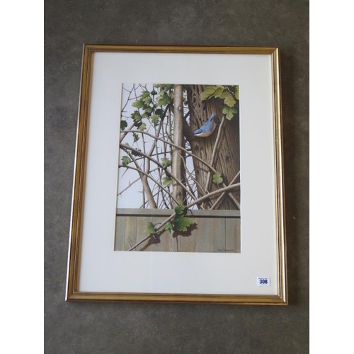 308 - Paul Dawson watercolour, Nuthatch on tree, in a distressed gilt frame, 70cm x 55cm, in good conditio... 