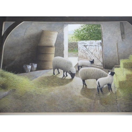 312 - Paul Dawson watercolour, Sheep in a barn, in an oak effect frame, 66cm x 80cm, good condition with s... 