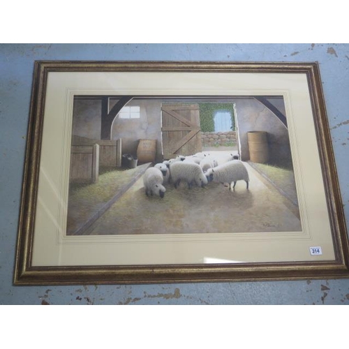 314 - Paul Dawson watercolour, Sheep in a barn, in a gilt frame, 70cm x 91cm, in good condition