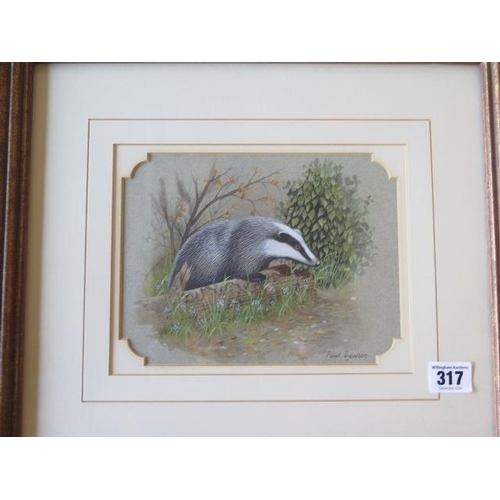 317 - Paul Dawson, two watercolours, Grey squirrel and a Badger, in gilt frames, 43cm x 48cm, in good cond... 