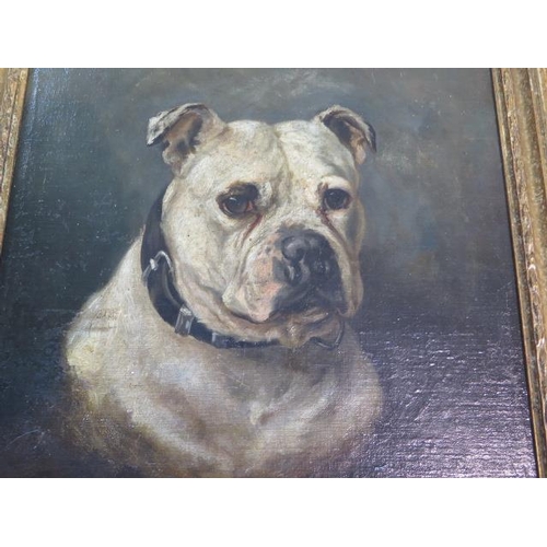 324 - An oil on canvas on board of a boxer dog, unsigned but with a plaque to frame J.EMMS 1843-1912, in a... 