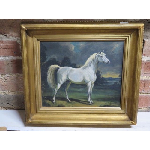 326 - Oil on board of a Grey Arab stallion, signed Hamilton Renwick, in a gilt frame 42cm x 47cm