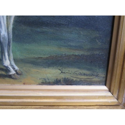 326 - Oil on board of a Grey Arab stallion, signed Hamilton Renwick, in a gilt frame 42cm x 47cm