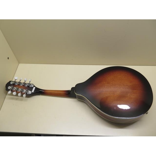 530 - A Fender Mandolin FM-52E CD10030083 with soft case in good condition