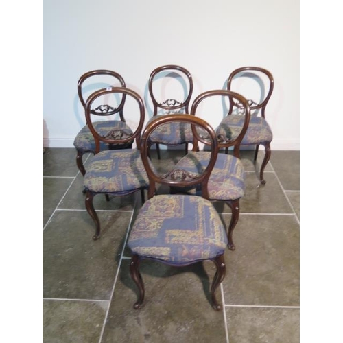 65 - A set of six mahogany 19th century balloon back dining chairs on cabriole shaped legs, some old repa... 