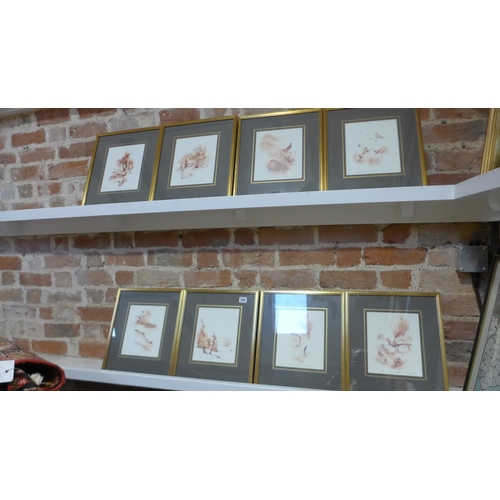 230 - A set of four framed limited edition wildlife prints by William Garfit, frame size 37cm x 32cm and a... 